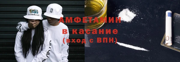 гашик Алексеевка