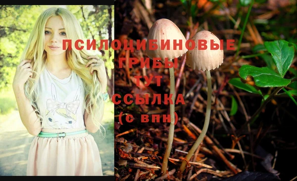 гашик Алексеевка