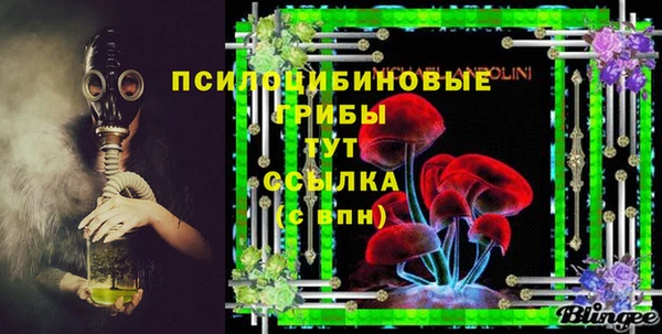 спиды Алексин