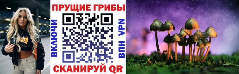 Галлюциногенные грибы MAGIC MUSHROOMS  Новоалтайск 